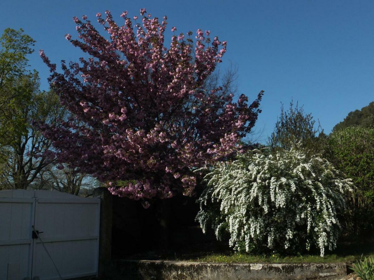 Bed and Breakfast Bastide Du Bonheur Saint Donat Gréoux-les-Bains Esterno foto